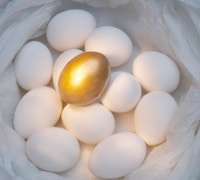 golden egg in egg basket