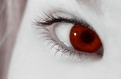 closeup shot of red eye