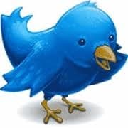 Twitter bird logo detailed drawing