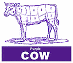Animated purple cow