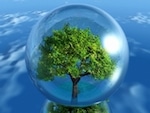 Healthy tree in a clear snow-globe with blue sky background