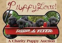 charity puppy auction
