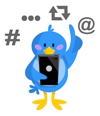 twitter bird visual