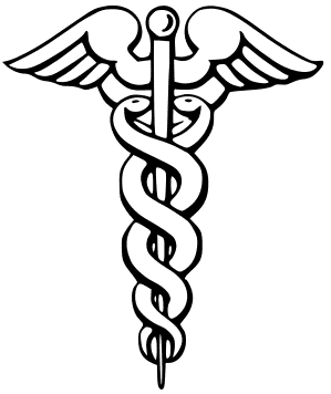 PT Caduceus decal for Physical Therapist Healthcare hospital