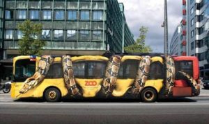 Zoo bus with a giant snake wrapped around it