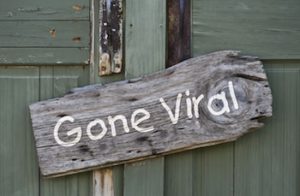 wood shack door with sign that reads "gone viral"