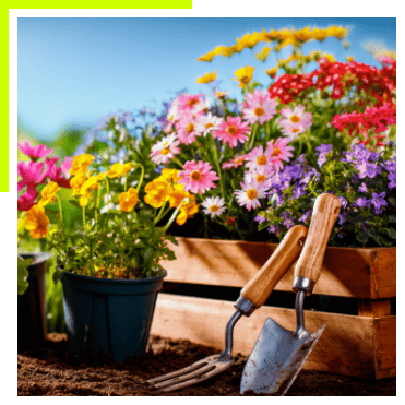 garden and gardening tools