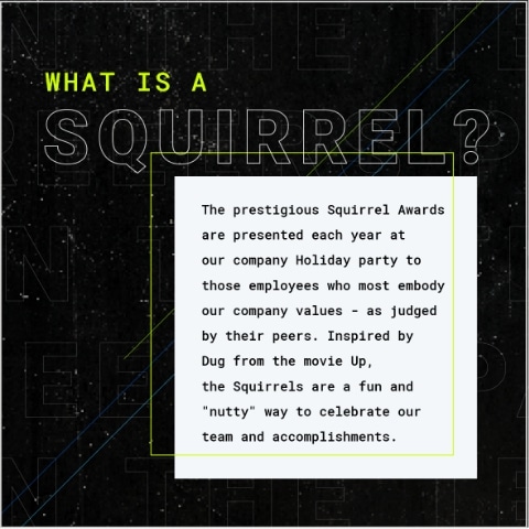 What is a squirrel? The prestigious Squirrel Awards are presented each year at our company Holiday party to those employees who most embody our company values - as judged by their peers. Inspired by Dug from the movie up, the Squirrels are a fun and nutty way to celebrate our team and accomplishments.