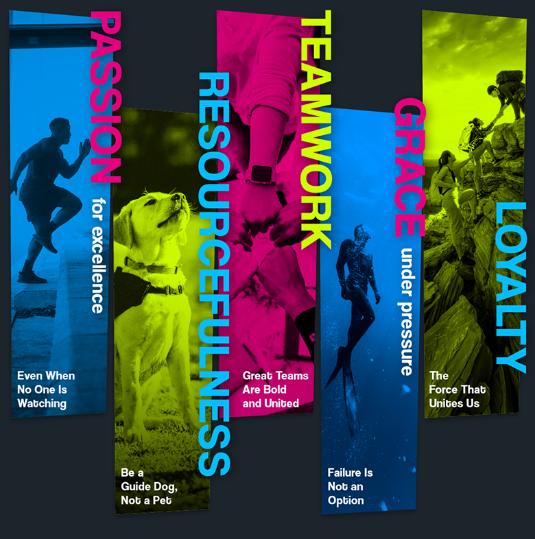 Healthcare Success core values of passion, resourcefulness, teamwork, grace under pressure, and loyalty.