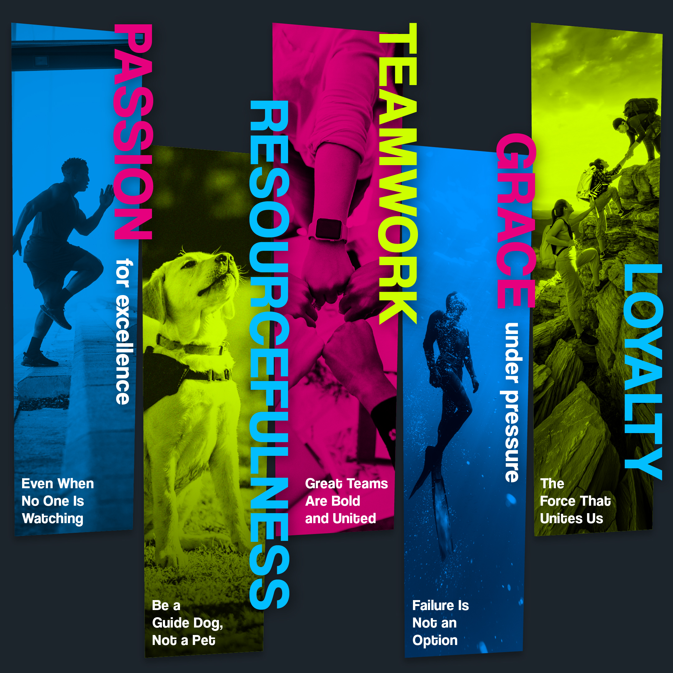 Healthcare Success core values of passion, resourcefulness, teamwork, grace under pressure, and loyalty.